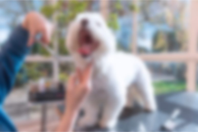 Bakım ve Temizlik Vakti