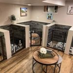 yalova köpek çiftliği