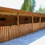 yalova köpek oteli avantaj