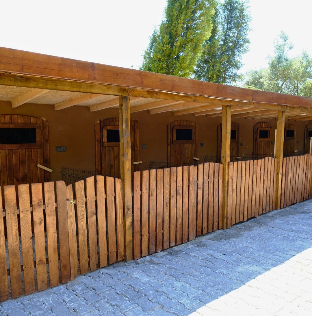 Yalova’da Köpek Oteli Hizmetleri ve Avantajları