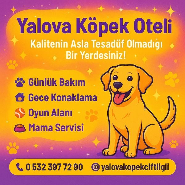 iletisim